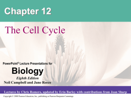 Chapter 12 the cell cycle