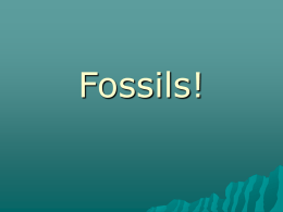 FOSSILS – Evidence such as the remains, imprints, or traces of once