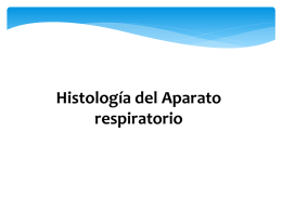 histologia del aparato respiratorio