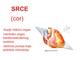 SRCE - StudentNet