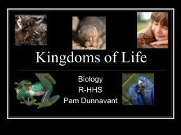 Kingdoms of Life powerpoint for INTEL