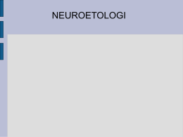 NEUROETOLOGI - Byethost11.com