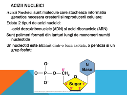 acizi nucleici ppt[1]