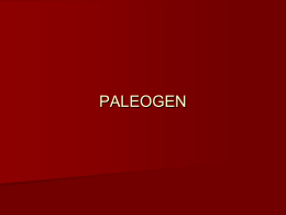 Paleogen