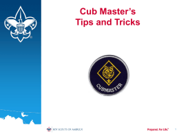 Cubmaster-Tips-and-Tricks