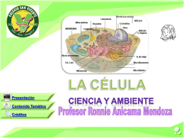 Diapositiva 1 - Ing. Ronnie Anicama Mendoza