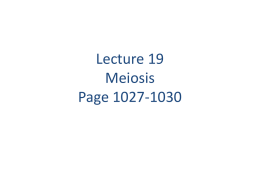 Lect. 19