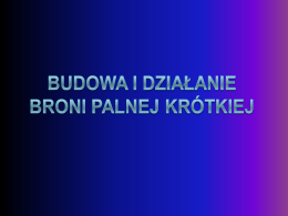 BronPalnaKrotkaCZ.1