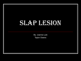 SLAP Lesion - WordPress.com