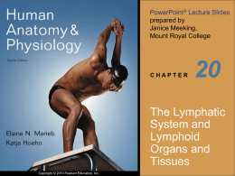 Ch 20 Lymph Lecture