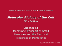 Molecular Biology of the Cell Fifth Edition Chapter 11
