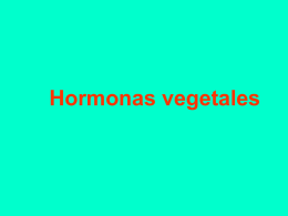 Presentacion Hormonas - Mis Clases fisiologia vegetal