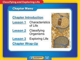 Chapter 1 Lesson 1 Characteristics of Life summary