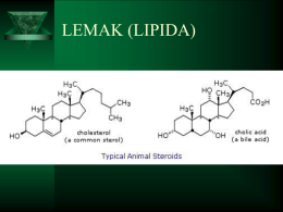 Lemak - aneeminiechem08028