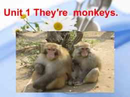 3年级下册-Modle 2 Unit 1 They′re monkeys李佳