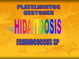 ECHINOCOCCUS HIDATIDOSIS.