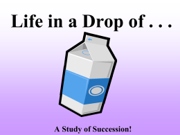 Milk Succession Lab
