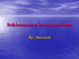 sh.hematobiom
