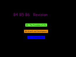 New B4 B5 B6 Revision