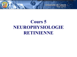 Neurophysiologie rétinienne