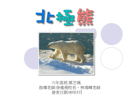 北極熊(6032 KB )
