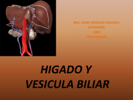 21, clase hígado y vesícula biliar