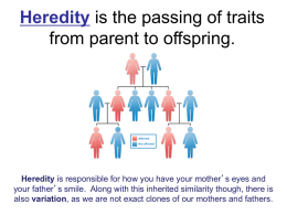 Heredity PPT