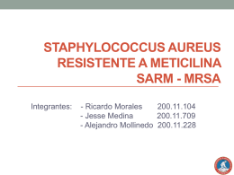 staphylococcus aureus resistente a meticilina sarm
