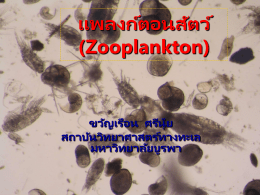 เอกสารประกอบการบรรยาย zooplankton