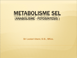 presentasi kuliah III-Metabolisme Sel (Fotosintesis)