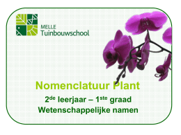 Plant 1ste graad 2de leerjaar Wet. naam