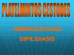 Himenolipiasis y Dipilidiasis.