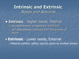 Intrinsic and Extrinsic Needs and Rewards