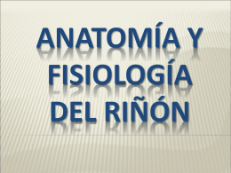 fisiologia renal - Tele Medicina de Tampico