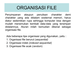 Organisasi File