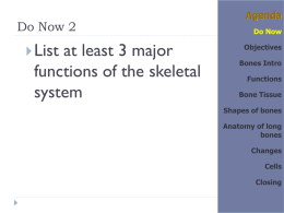 PowerPoint Presentation - Nerve activates contraction