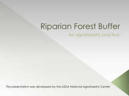 Riparian Forest Buffer - National Agroforestry Center