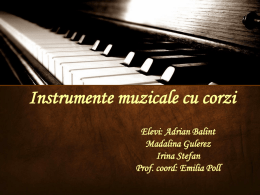Musical instruments with chords