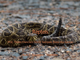 Aula 3 – Lepidossauria – Serpentes