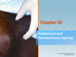 Emergency Medical Care of Abdominal Injuries