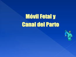 Canal del Parto y Móvil Fetal - WordPress.com