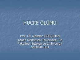 HÜCRE ÖLÜMÜ - Adnan Menderes Üniversitesi