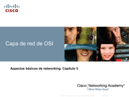 Capa de red de OSI