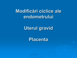 Modificari ciclice, placenta