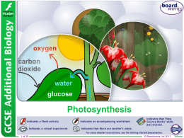 Photosynthesis