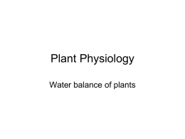 Lec-5 Water balance of plants