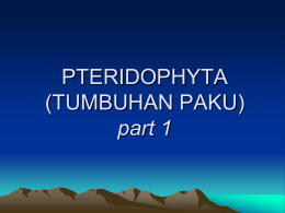 pteridophyta part 1