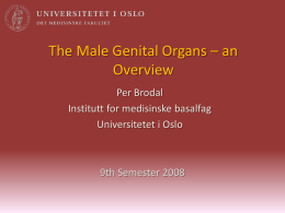 Retentio testis - Universitetet i Oslo