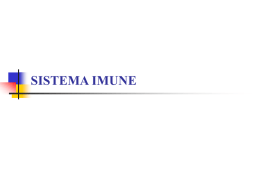 SISTEMA IMUNE - Colegio Ideal