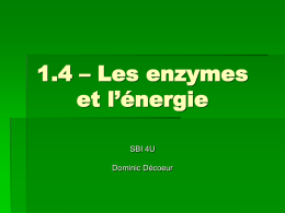 1.4 – Les enzymes et l`énergie